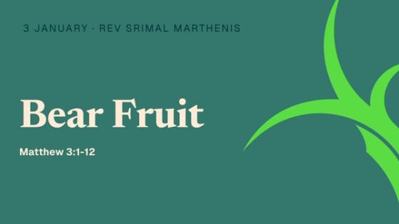 Bear Fruit