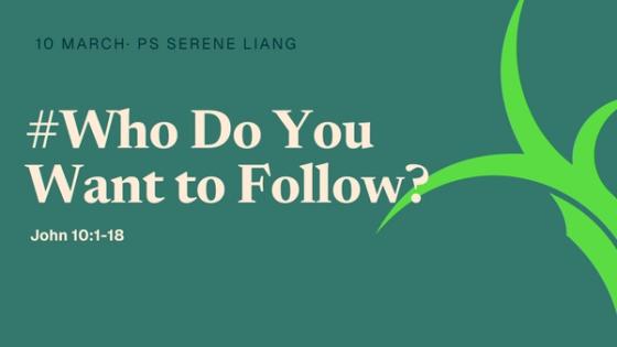 #Who Do You Want to Follow?