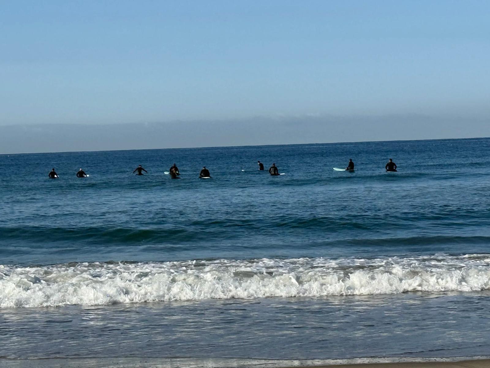 The ocean waves