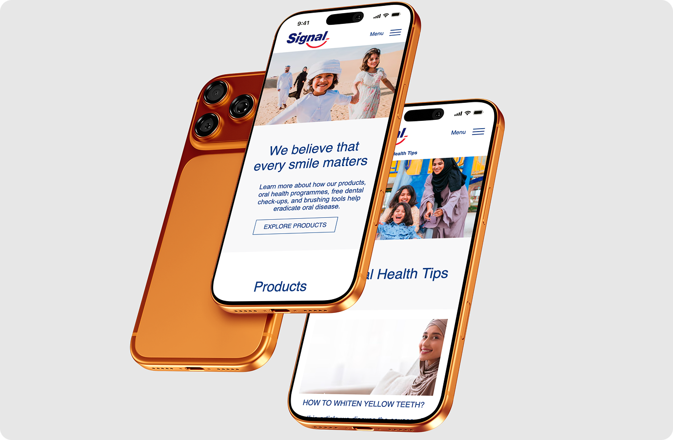 Smartphones screens depicting Signal's pages functioning on mobile