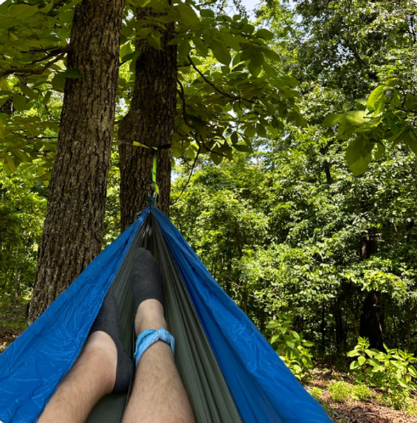 Hammocking