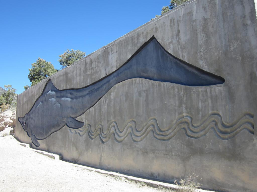 Your Guide to Fall Fun in the Heart of Nevada Silver Trails