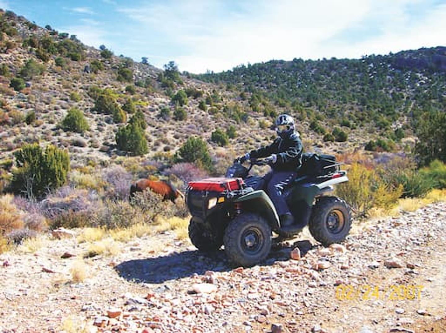 Nevada Silver Trails