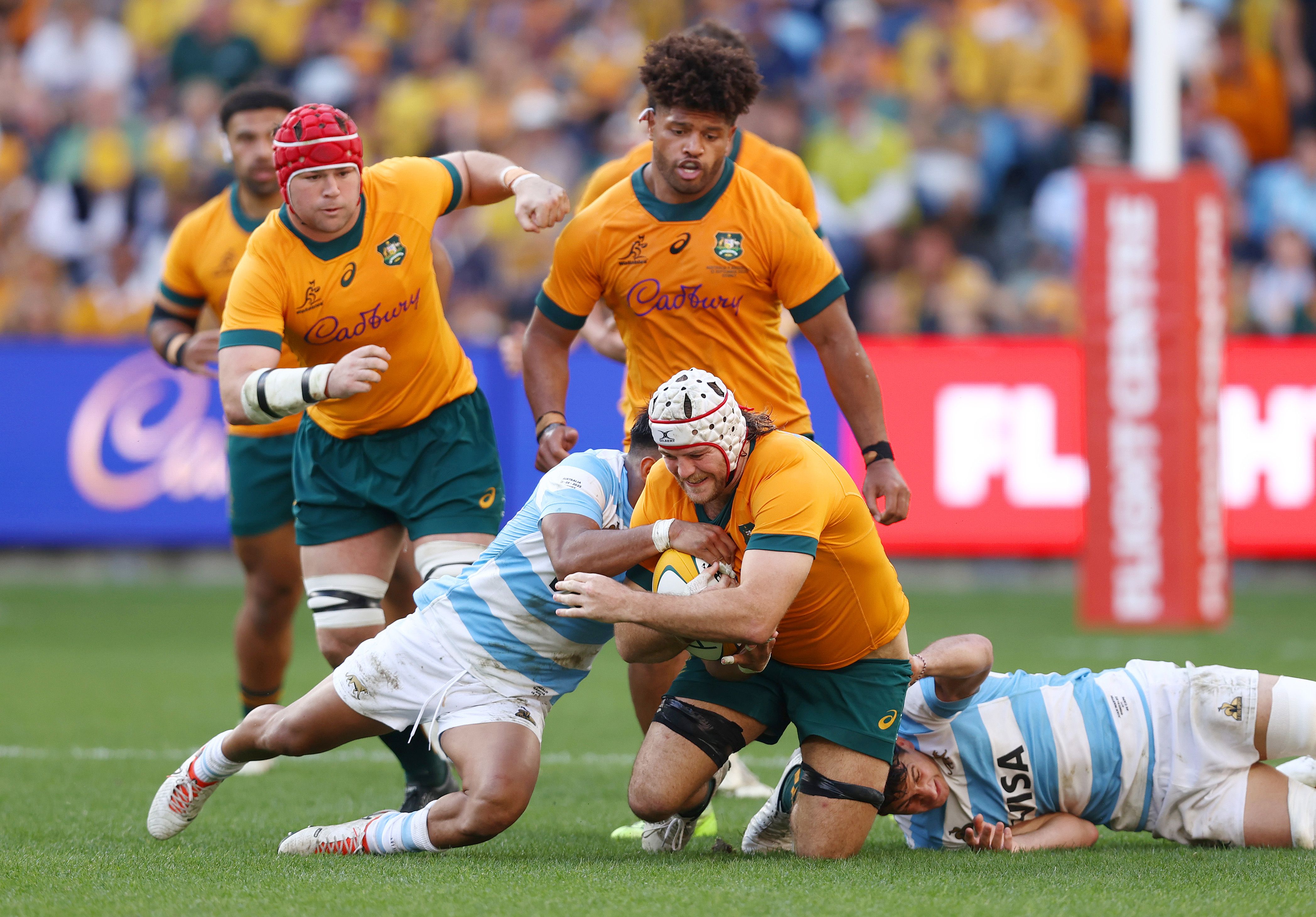 Argentina vs Wallabies - Category A Background