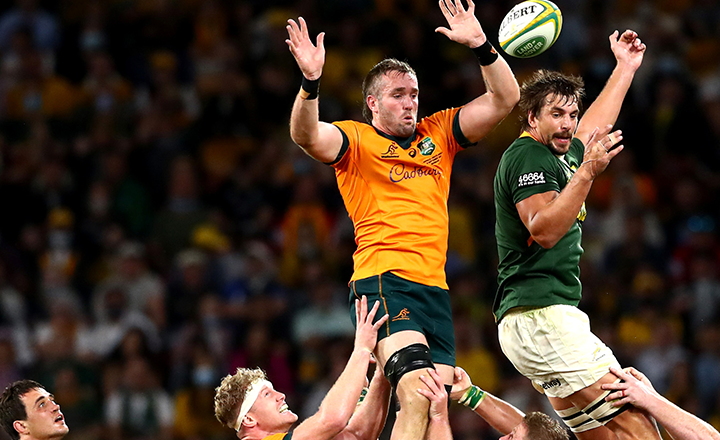 South Africa vs Wallabies - Category A Background