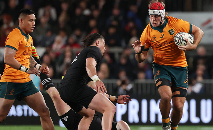 All Blacks vs Wallabies - Category A Background