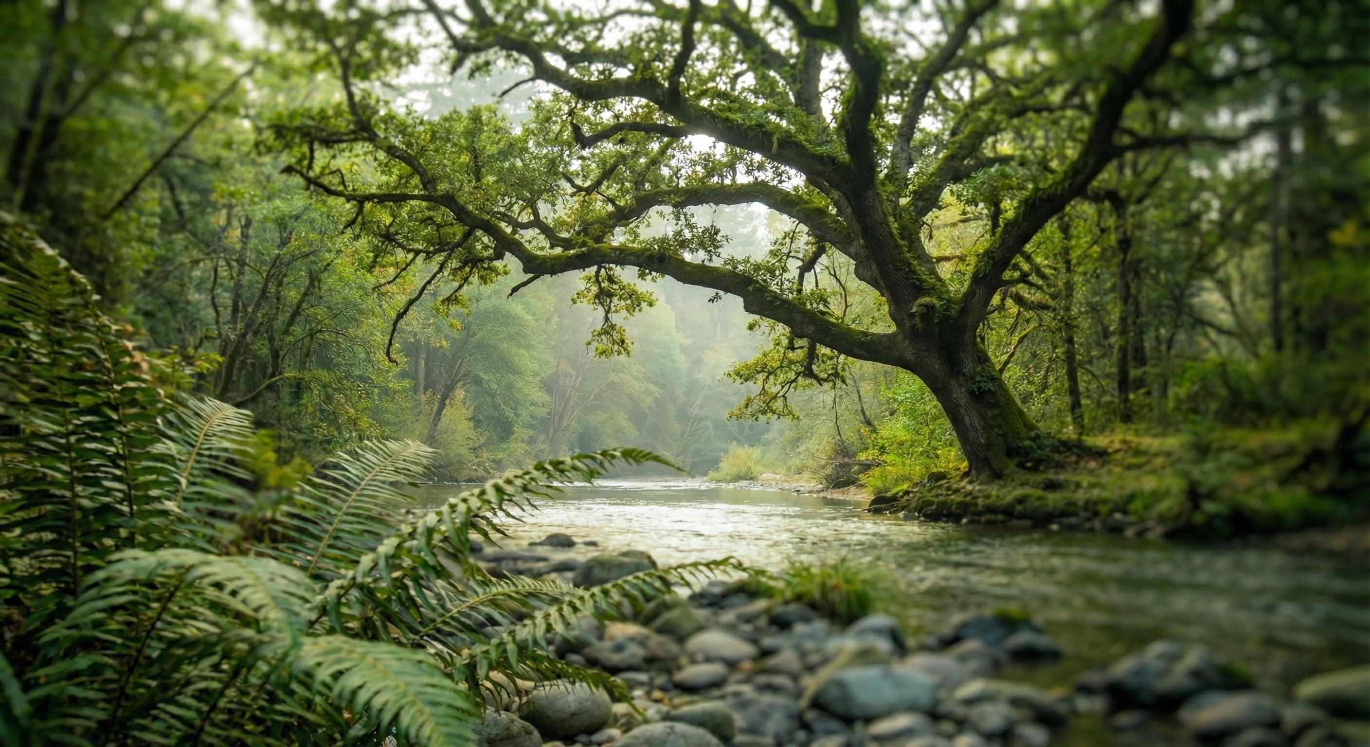 ¿Por Qué te Apellidas Soto? El Secreto Oculto en el Bosque
