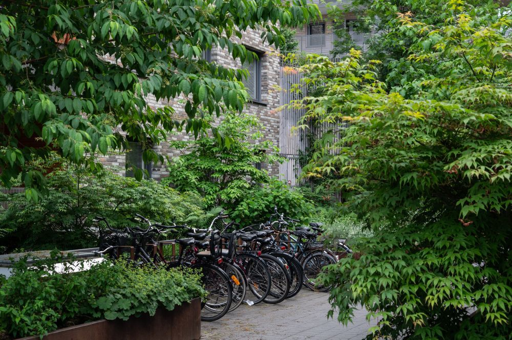 Cykelparkering med grönskande träd och buskar omkring.