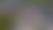 Flygbild över Gasverket