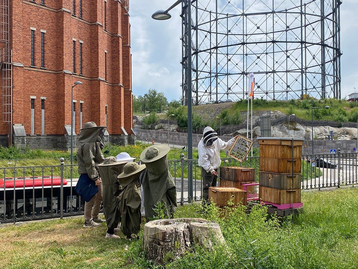 Barn står framför biodlingslådor och lyssnar på en vuxen som berättar om binas stora betydelse.