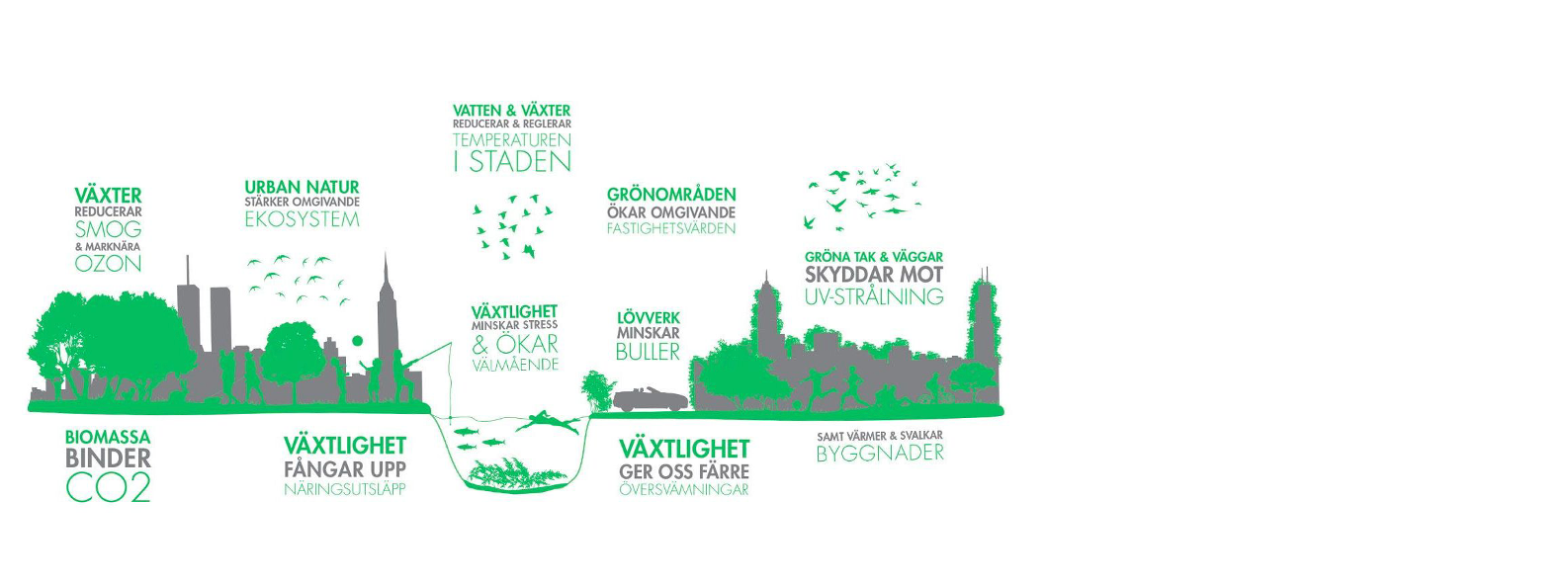 Stadsnaturens samhällsvinster