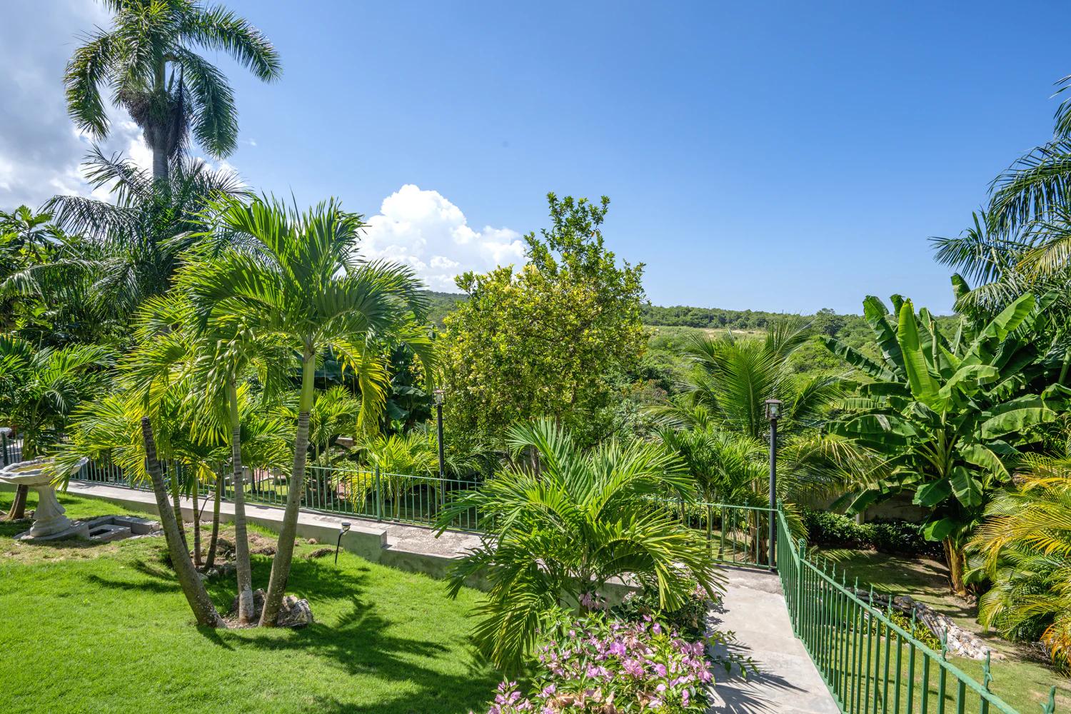 Villa Della Palmeras Ironshore Montego Bay Jamaica Garden Path
