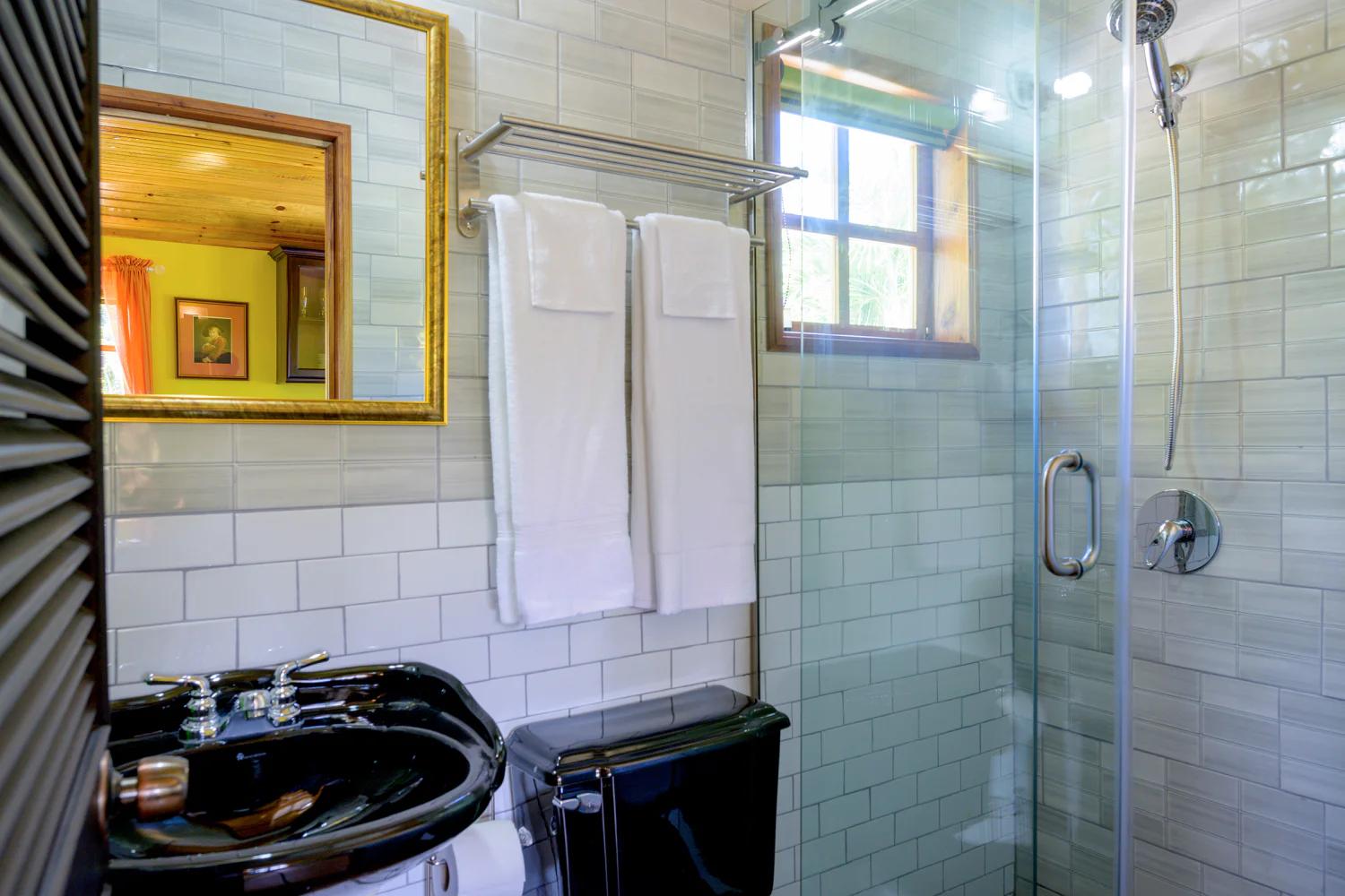 Villa Della Palmeras Ironshore Montego Bay Jamaica Tiny House Bathroom