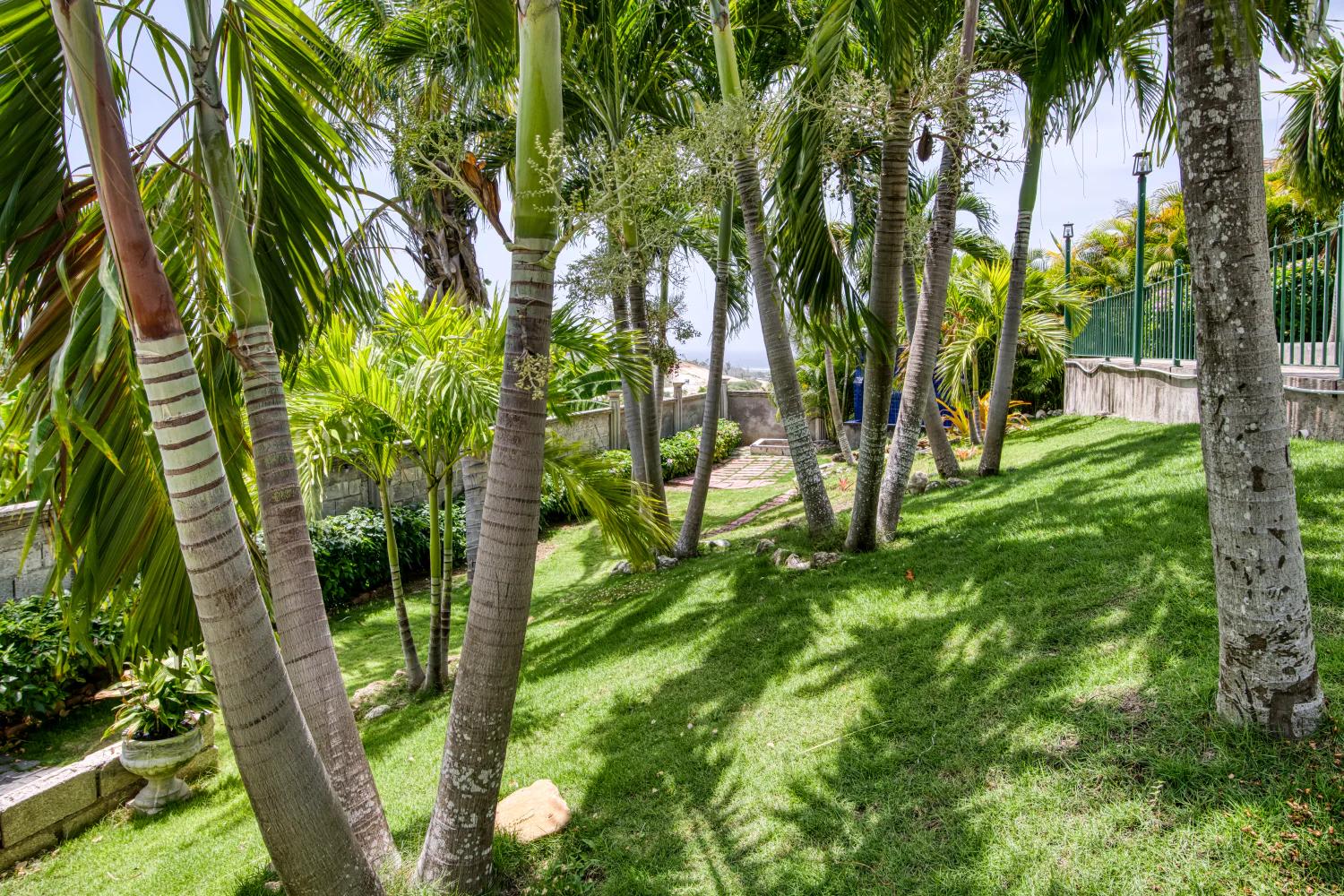 Villa Della Palmeras Ironshore Montego Bay Jamaica Palm Gardens