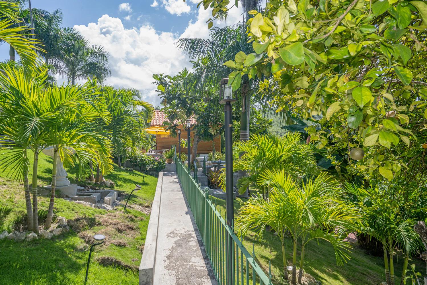 Villa Della Palmeras Ironshore Montego Bay Jamaica Garden Path