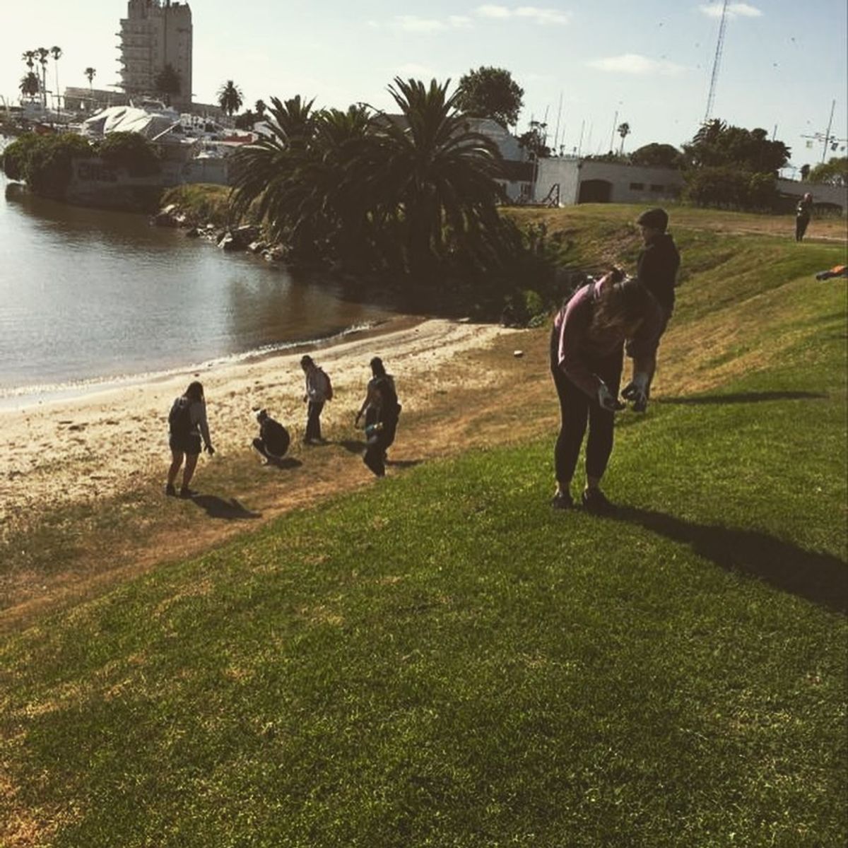 Personas voluntarias realizan una limpieza en la costa de Montevideo.
