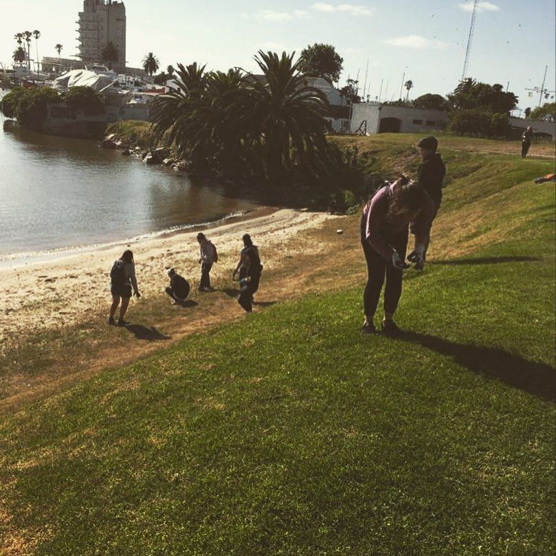 Personas voluntarias realizan una limpieza en la costa de Montevideo.