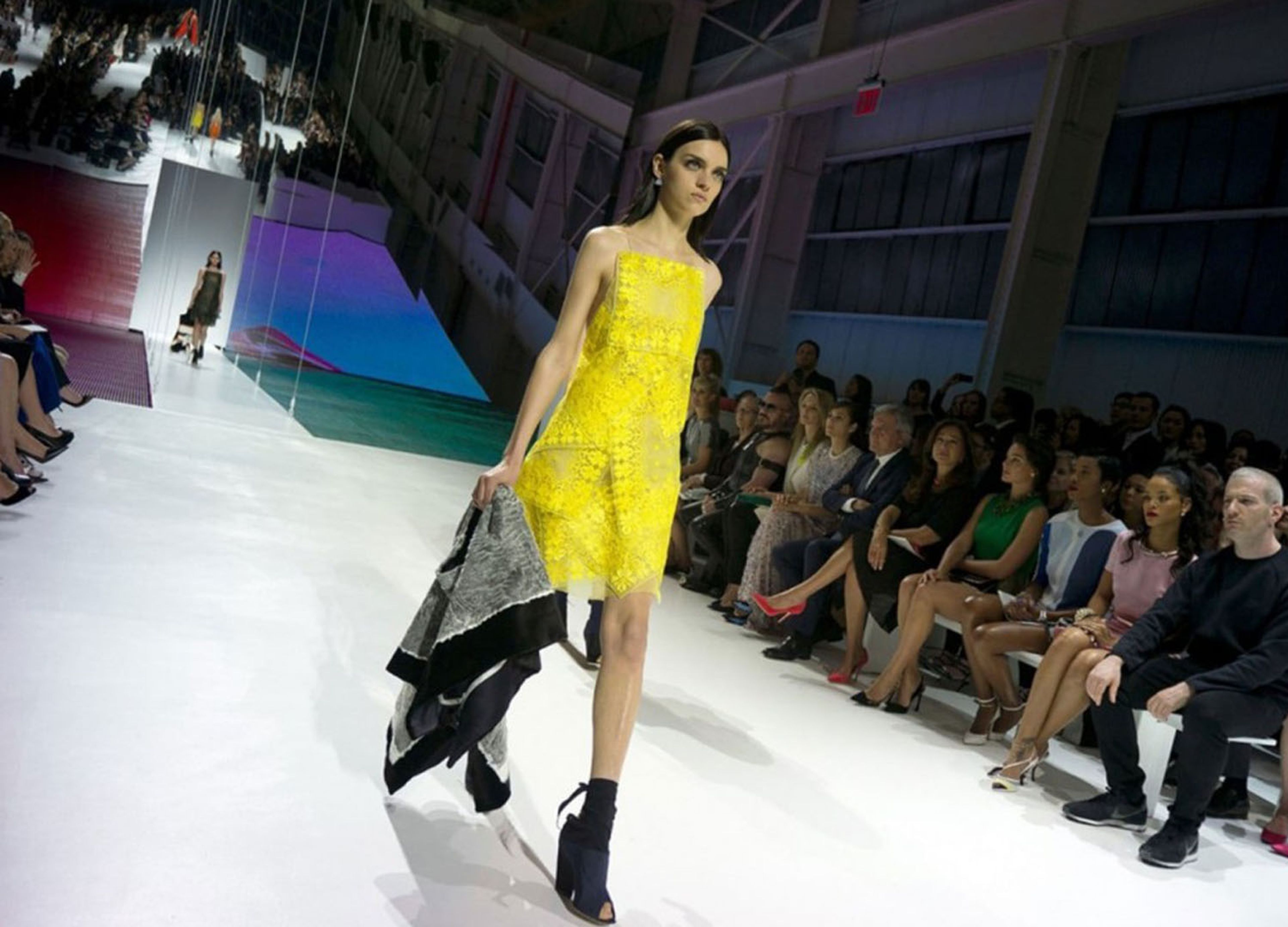 DE-YAN DIOR 9