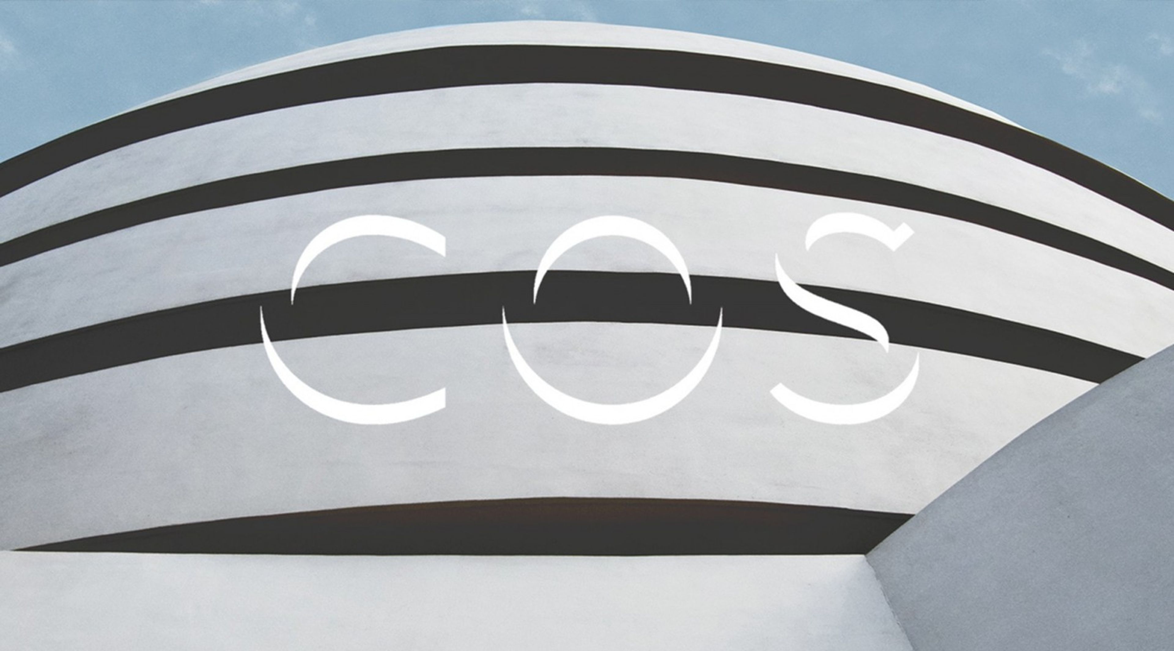 cos image 01