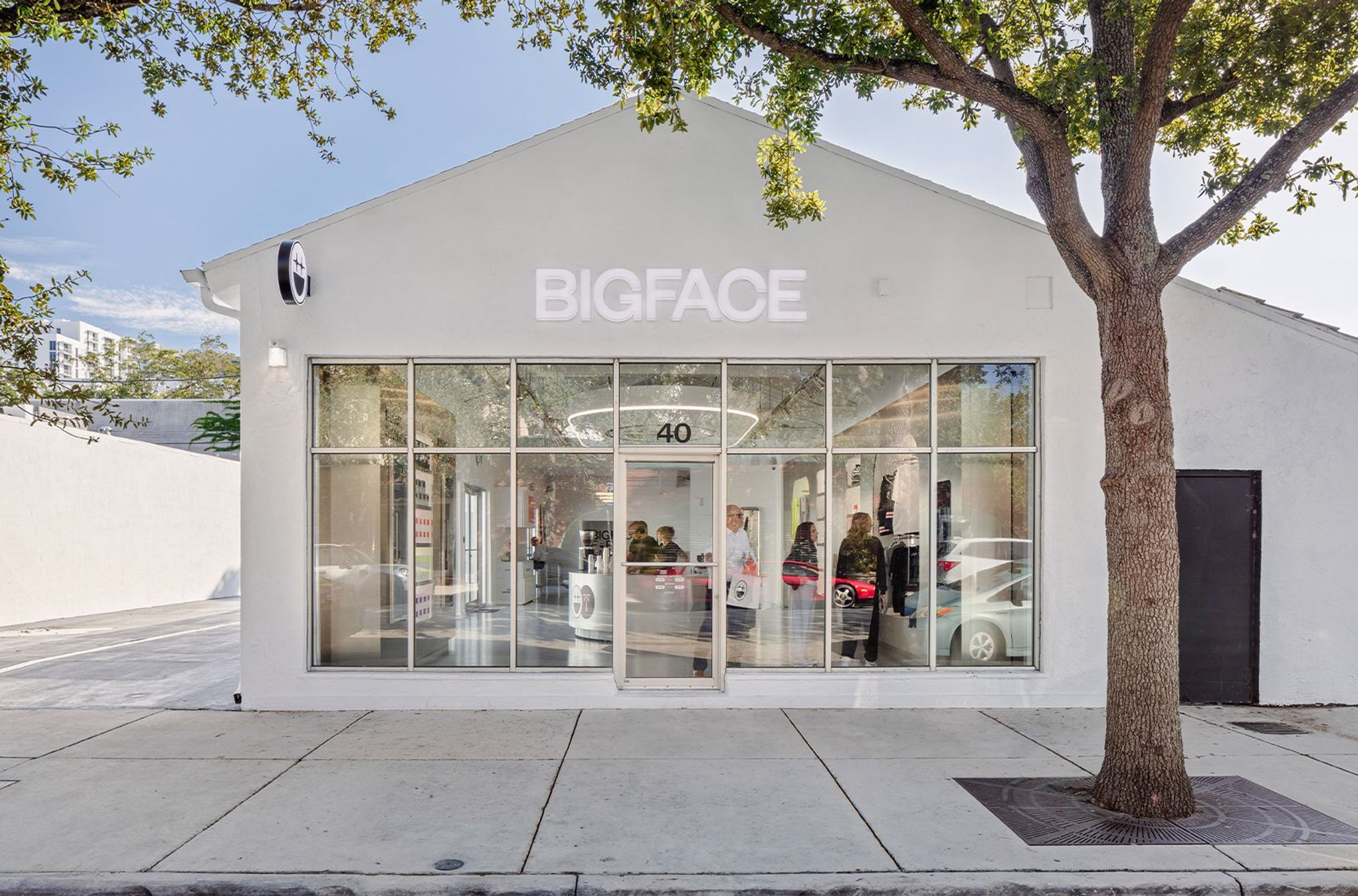 DE-YAN BIGFACE 14