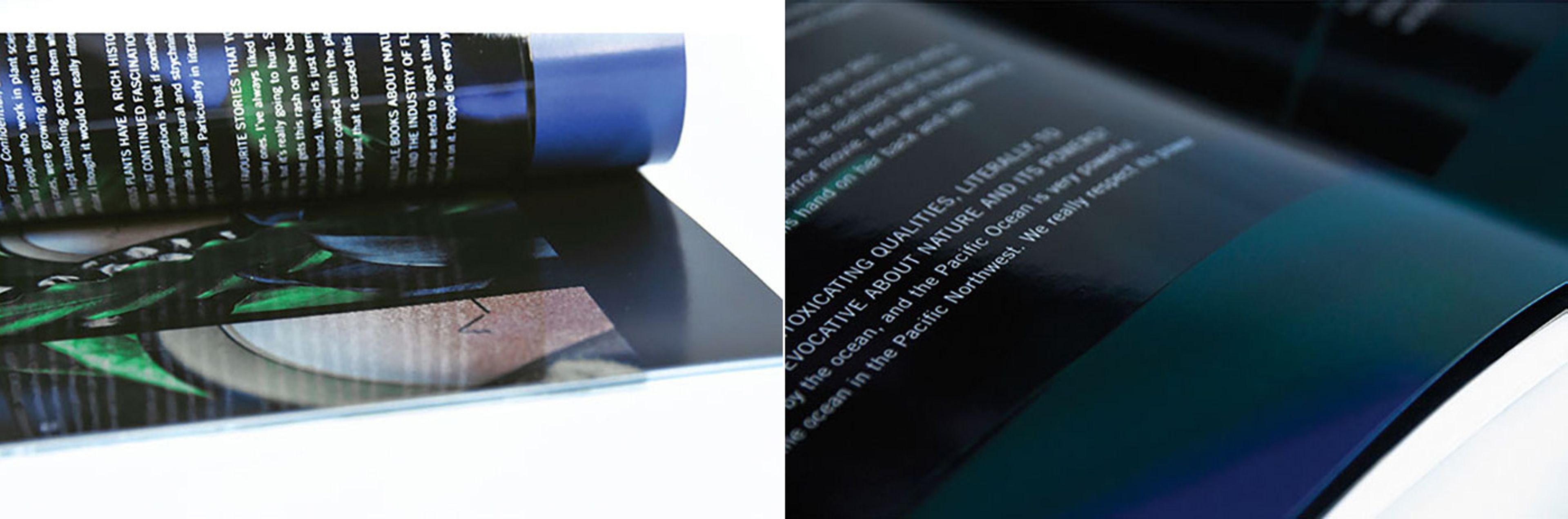 DE-YAN MAC COSMETICS 4