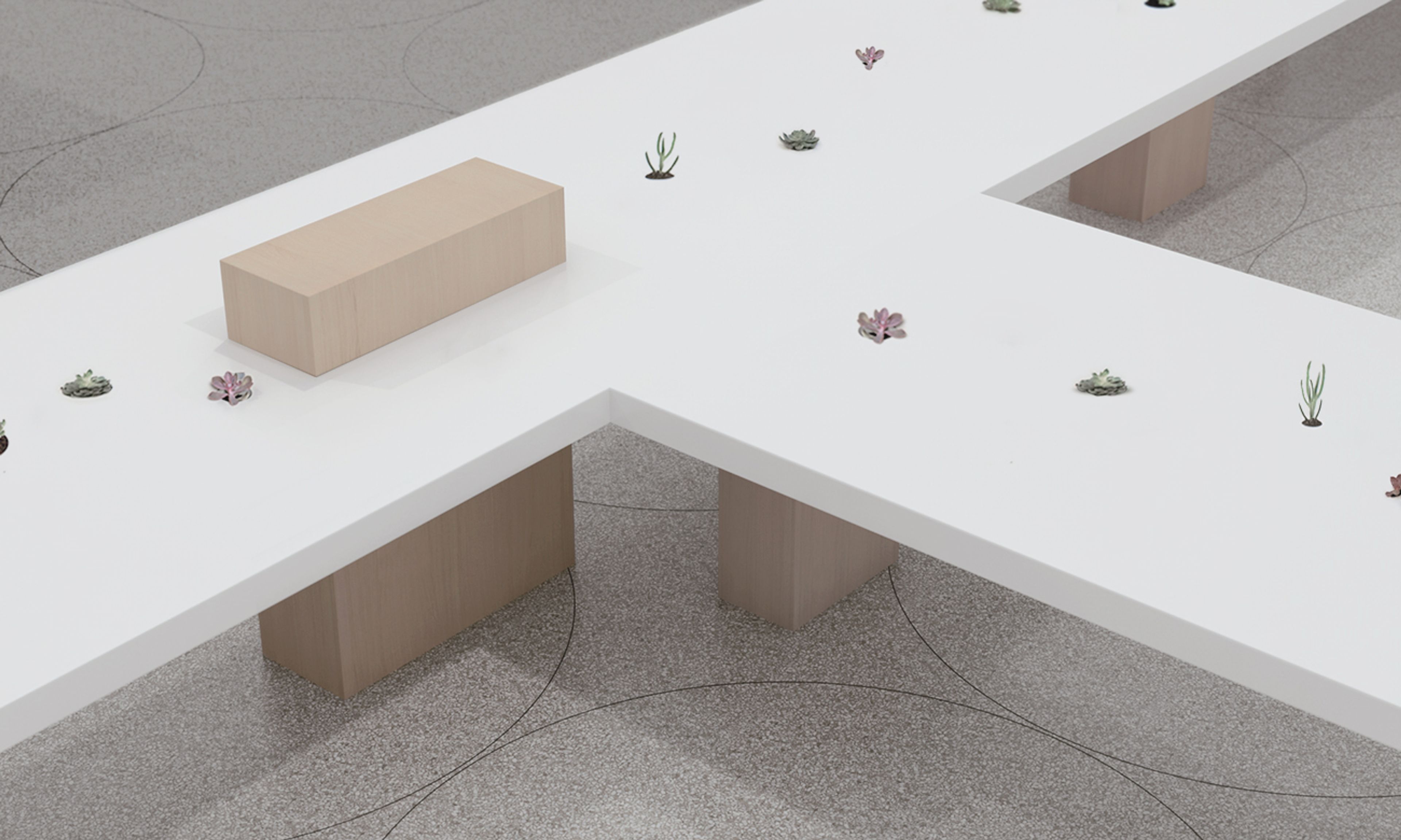 cos image 03