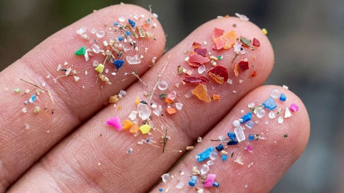 Microplásticos hallados en playas de una isla de la Antártida