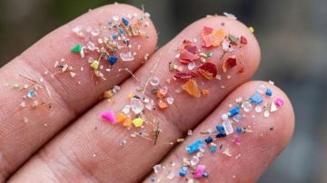 Microplásticos hallados en playas de una isla de la Antártida