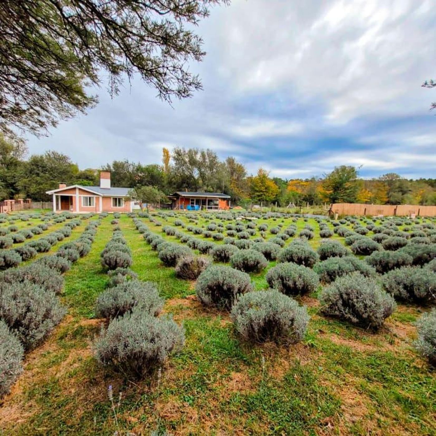 Quinta Esencia