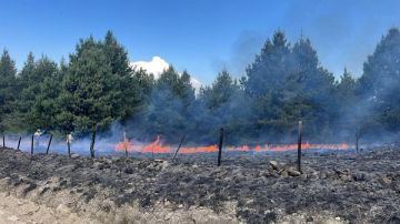 Incendio forestal contenido en Villa Berna movilizó a cuarteles de Calamuchita