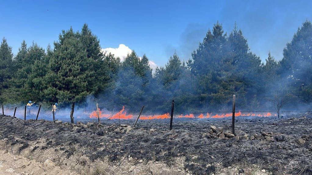 Incendio forestal contenido en Villa Berna movilizó a cuarteles de Calamuchita