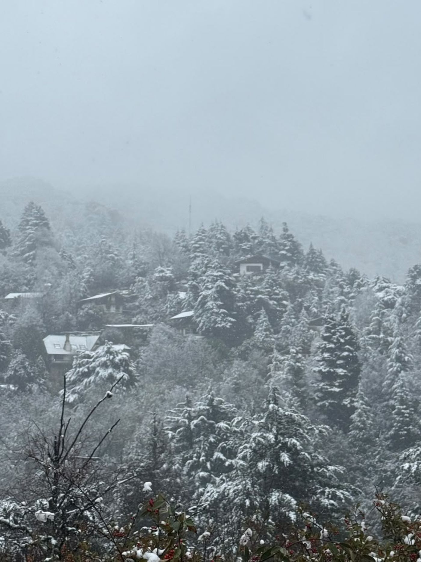 cumbrecita nevada