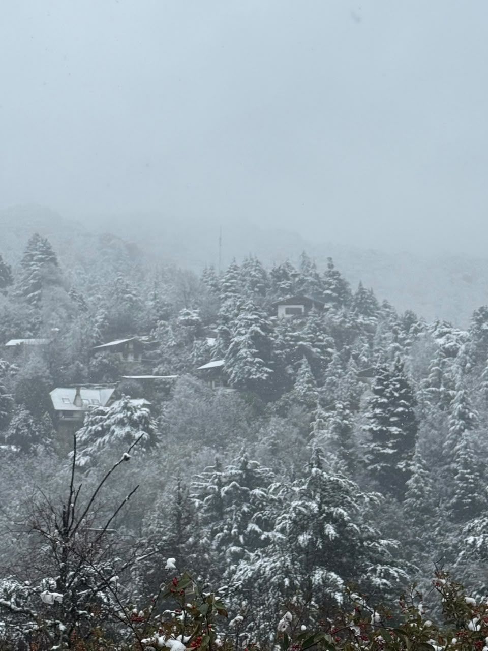 cumbrecita nevada