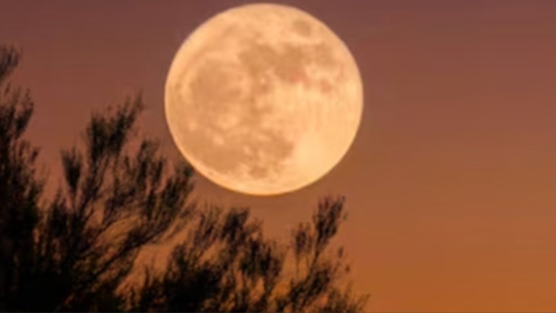 Luna de la Cosecha 2026: cuándo y dónde verla en septiembre