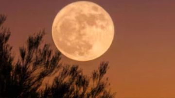 Luna de la Cosecha 2026: cuándo y dónde verla en septiembre