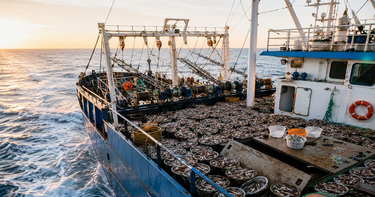 Alerta por bajo control pesquero en el Mar Argentino: solo 15% de las mareas tiene inspector a bordo