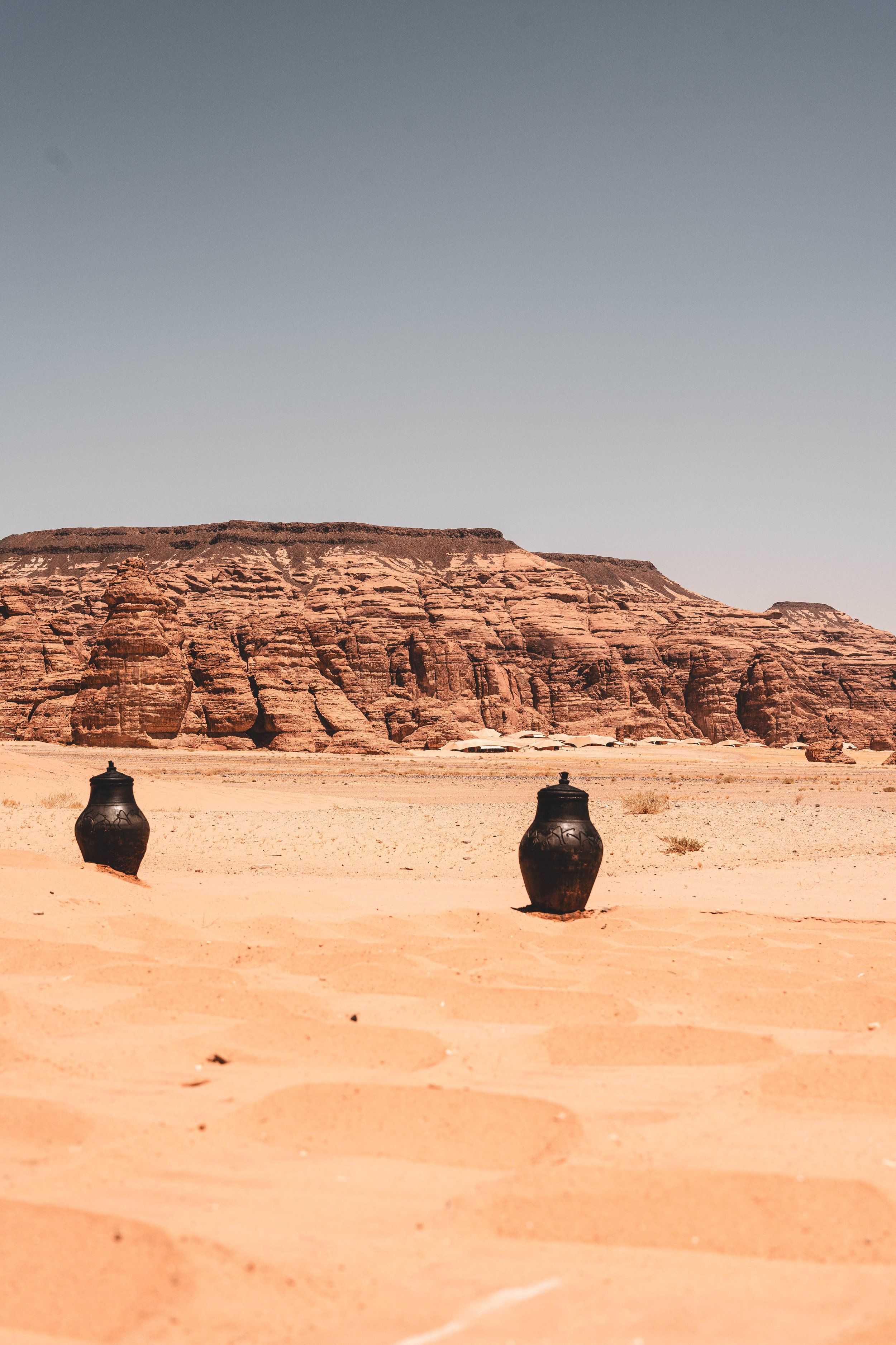 Banyan Tree, AlUla