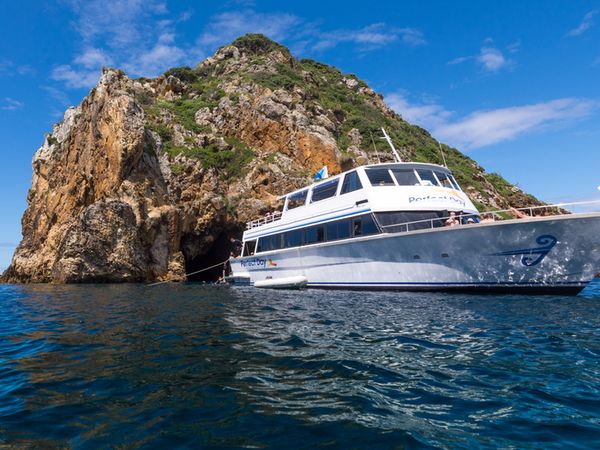 Purpose-Built Vessel