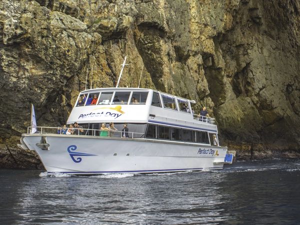 Purpose-Built Vessel