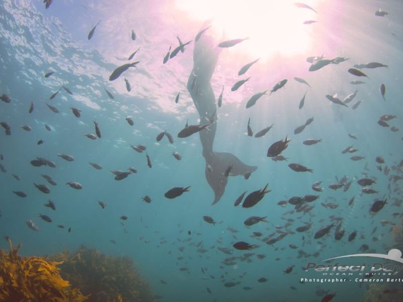 Sight-seeing