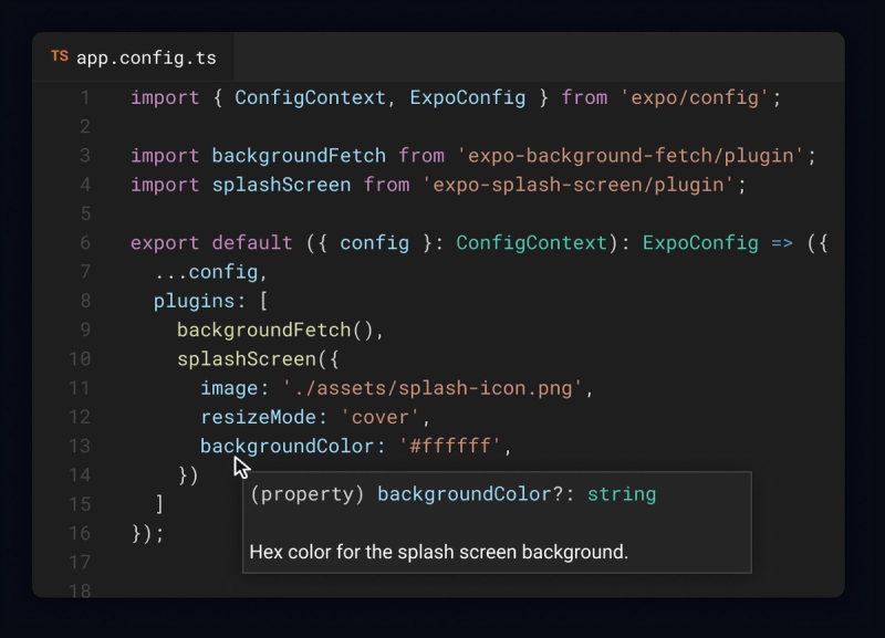 JSDoc for an Expo config plugin's options inside app.config.ts