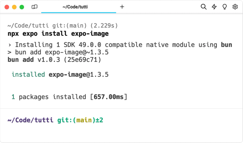 Installing Expo Image on an SDK 49 project