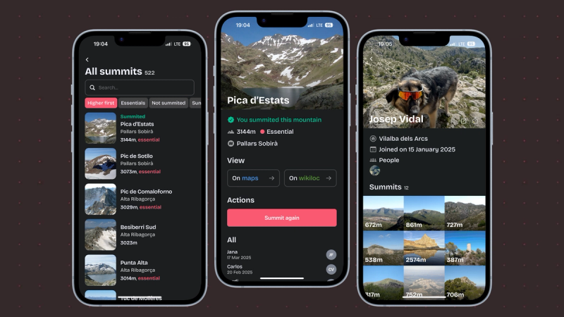 API Architecture with Elysia.js + Eden