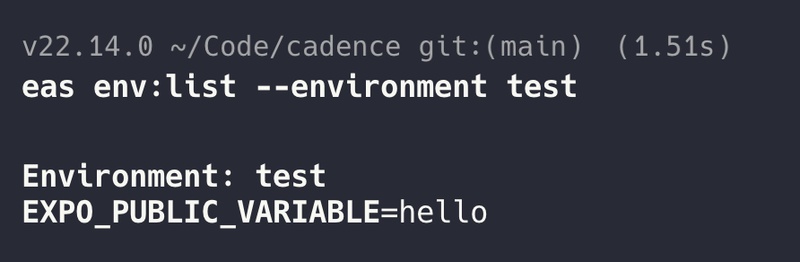 Terminal example listing all the env vars for the test environment