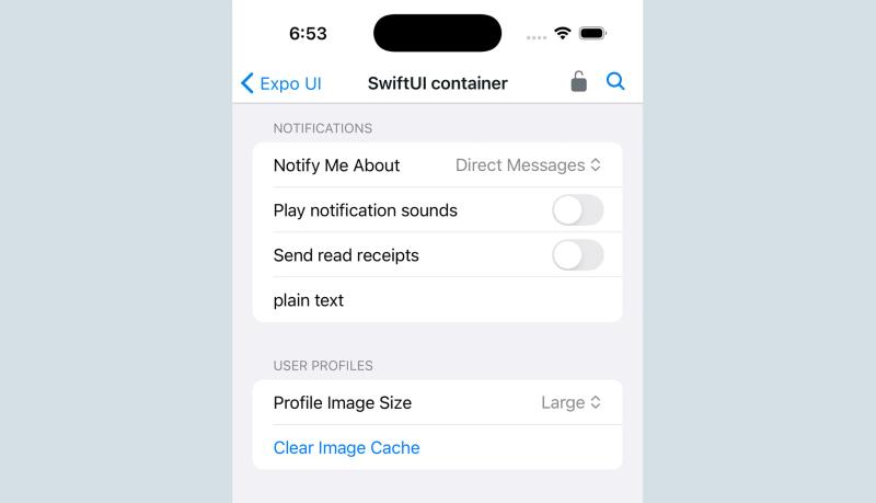 A screenshot that demonstrates usage of Expo UI with Swift UI