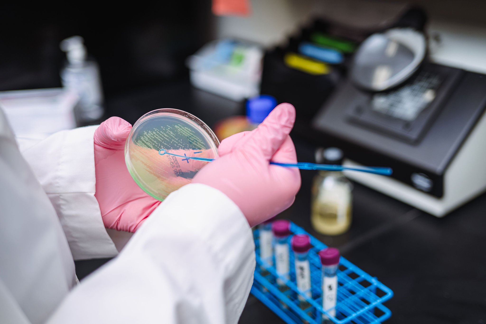 Petri dish culture analysis in WSI lab