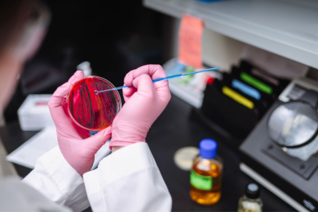 WSI research scientist