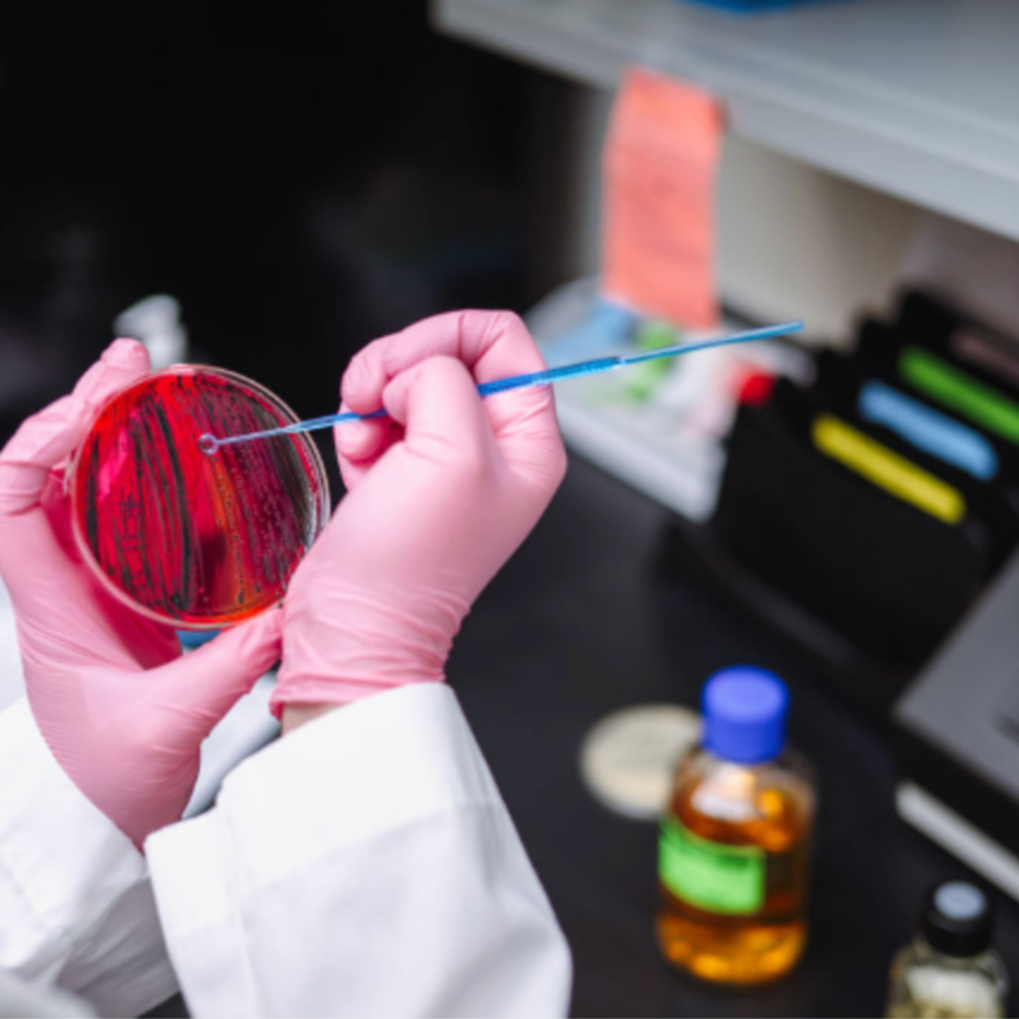WSI research scientist