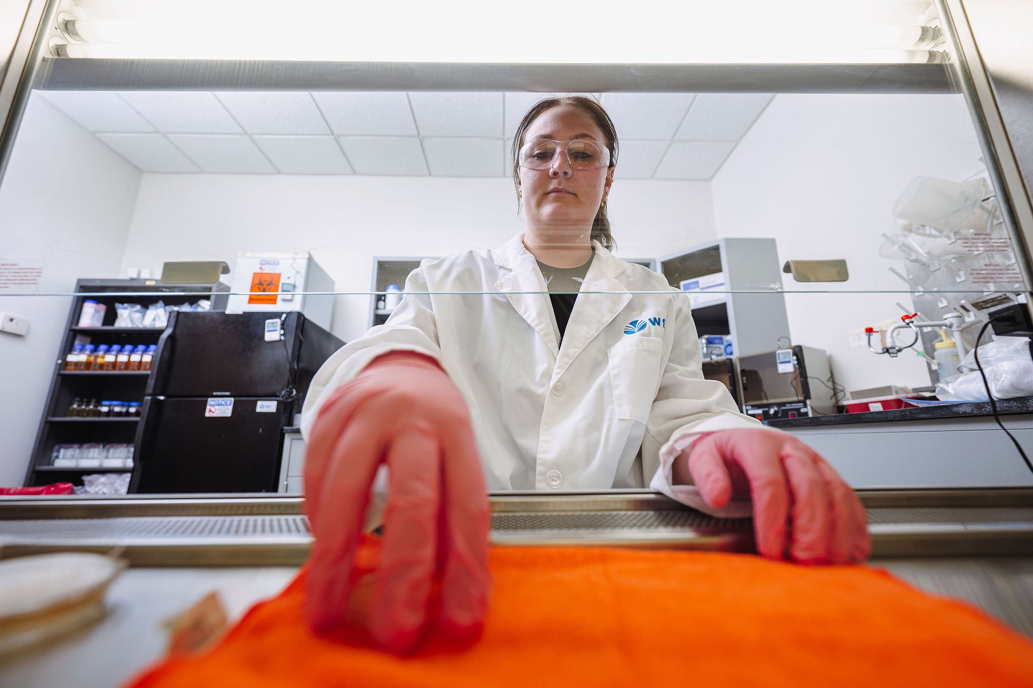 WSI scientist at fume hood