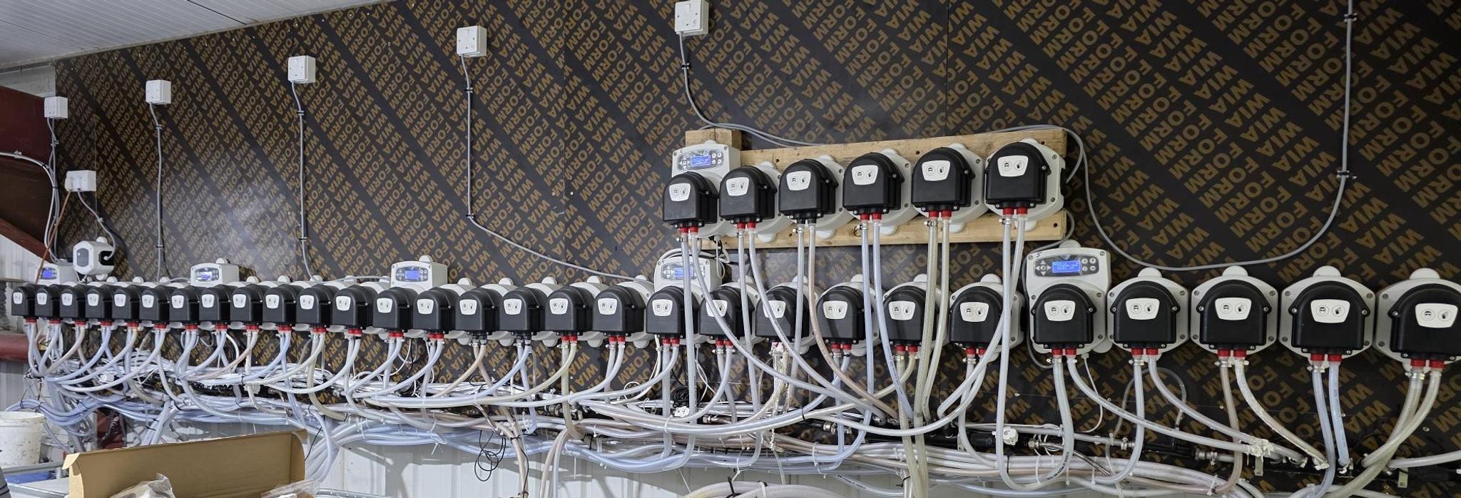 Swift Choice's previous dosing setup: rows of mismatched pumps mounted on a wooden batten with tangled tubing